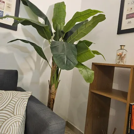 A Minha Casa Na Da Rocha Portimão