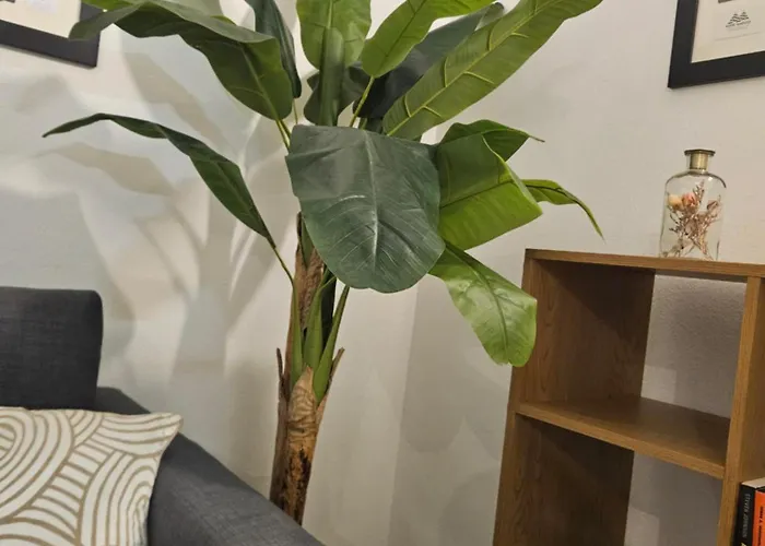 A Minha Casa Na Da Rocha Portimão